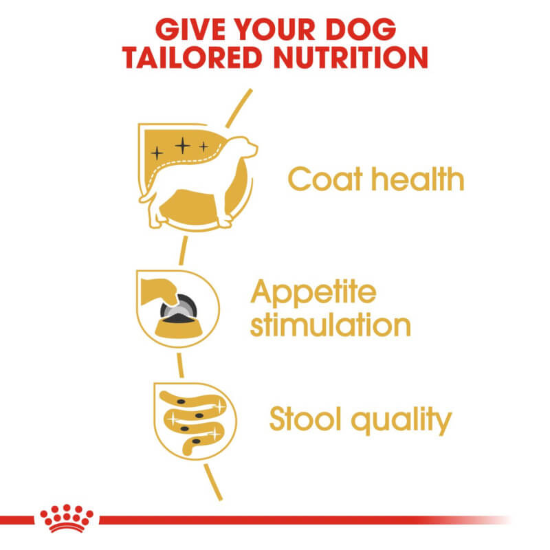 Royal Canin Yorkshire Terrier Pouch supports coat health and satisfies picky Yorkie appetites.