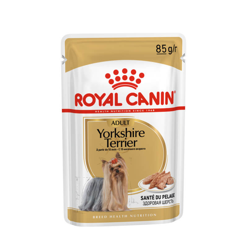 Royal Canin Yorkshire Terrier Pouch 12x85g, with Yorkshire Terrier food shown.
