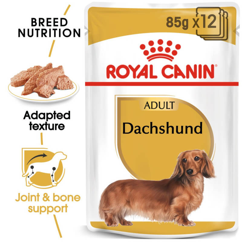 Royal Canin Dachshund Box 12X85g supports joints and muscles with breed-specific nutrition.