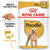 Royal Canin Poodle Pouch 12x85g