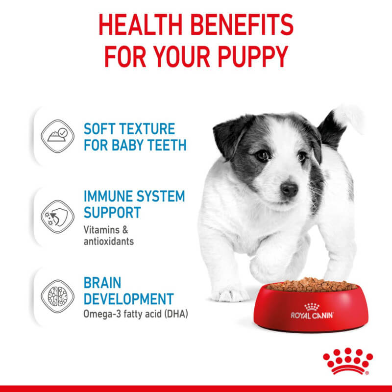 Royal Canin Mini Puppy 12x85g supports brain development and immunity in small breed puppies.