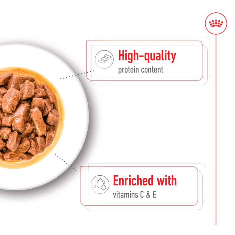 Royal Canin Medium Adult 10x140g wet dog food with protein and vitamins C & E benefits.