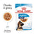 Royal Canin Maxi Puppy 10x140g