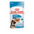 Royal Canin Maxi Puppy 10x140g-Pet n Pony-Royal Canin