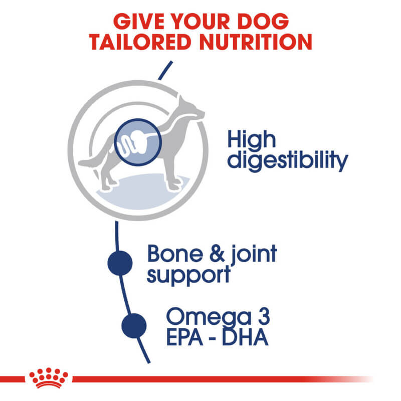 Royal Canin Maxi Adult 10x140g supports adult dogs' bones and provides Omega 3 benefits.