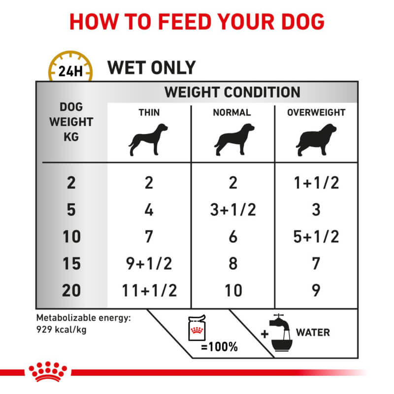 Royal Canin Canine Urinary S/O Pouch  12x100g