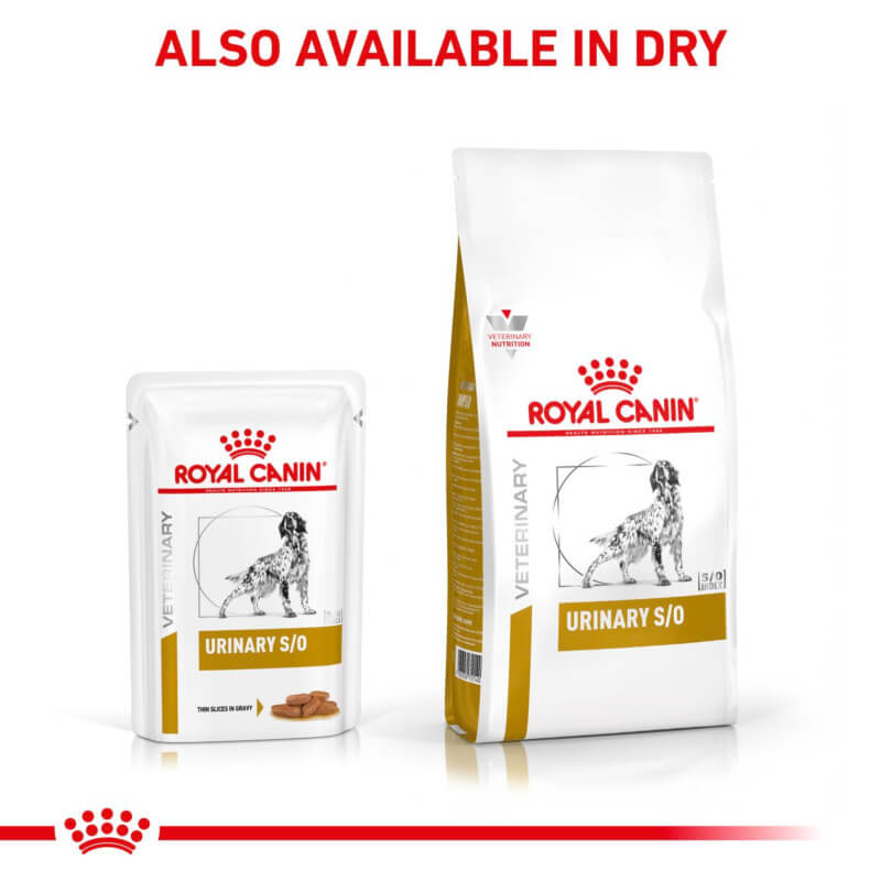 Royal Canin Canine Urinary S/O Pouch  12x100g