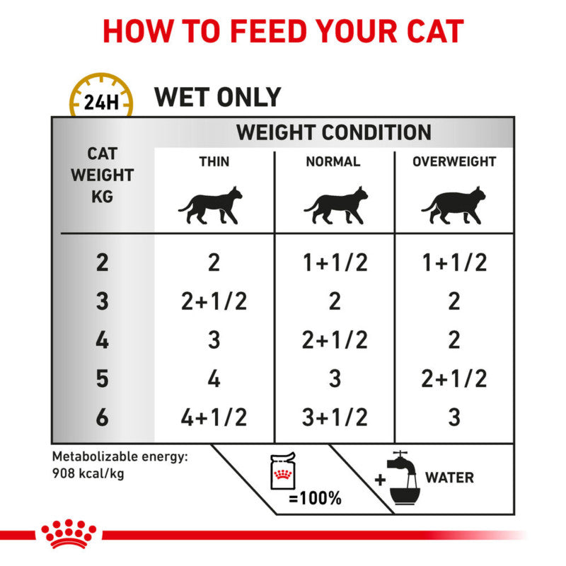 Cat wet food guide: portions by weight; includes Royal Canin Vet Urinary S/O Morsels for struvites.