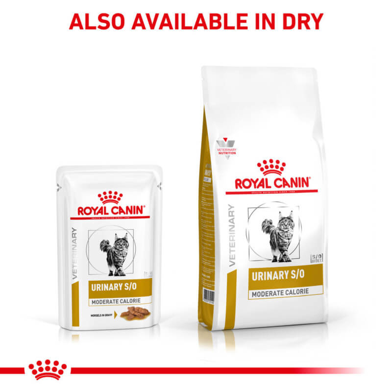 Royal Canin Veterinary Feline Urinary S/O Wet Pouch supports urinary health in cats.