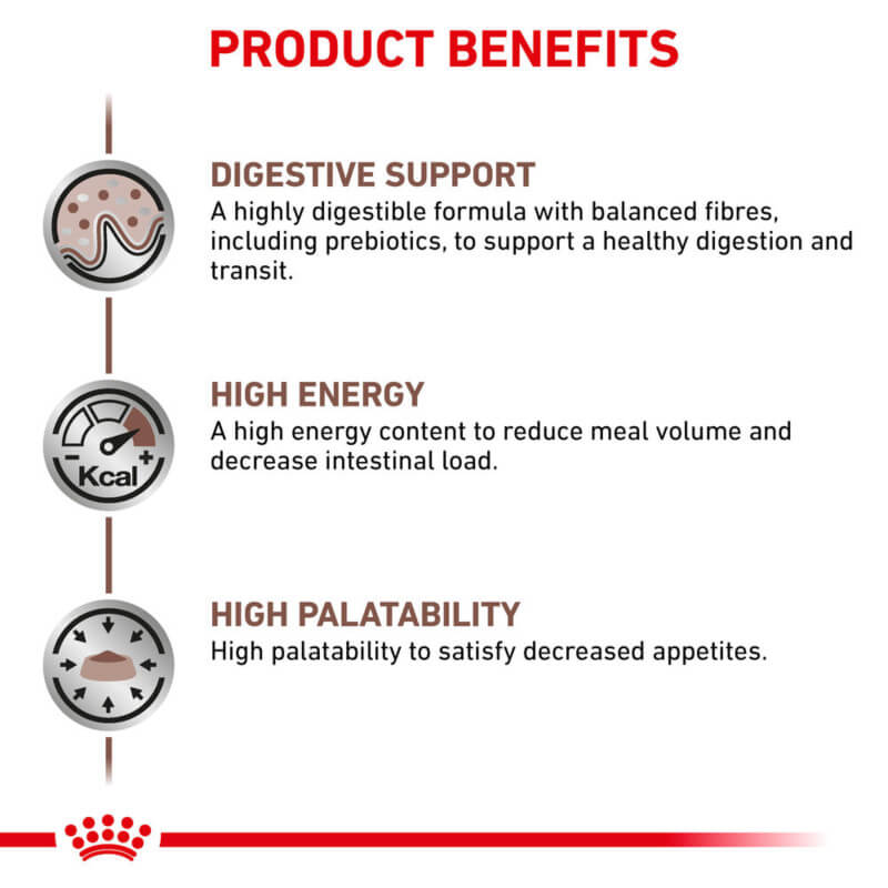 Royal Canin Gastrointestinal Feline Pouch: digestive, high energy, palatable—icons included.