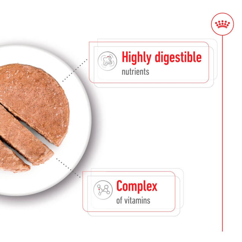 Royal Canin Mini Adult Tin 195g: wet food with highly digestible nutrients for small dogs.