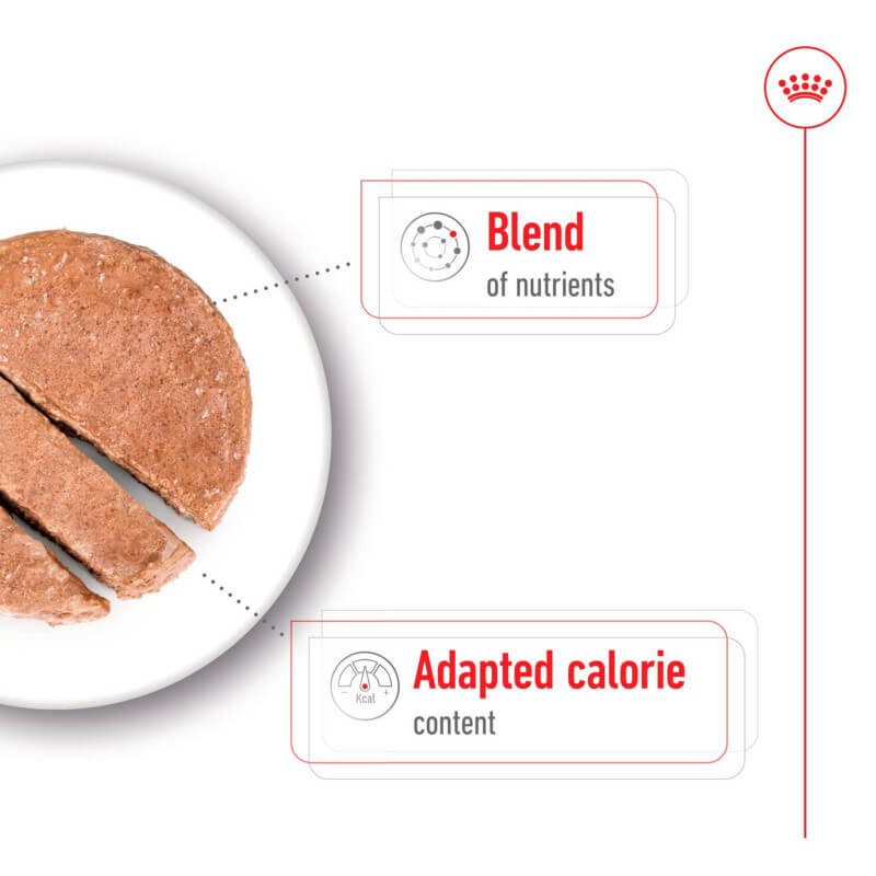 A sliced round patty of Royal Canin Mini Ageing 8+ Tin 195g for senior small breed dogs.