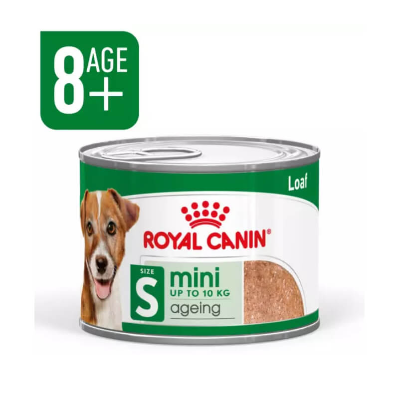 Royal Canin Mini Ageing 8+ Tin 195g wet food for senior small breed dogs aged 8 years and up.