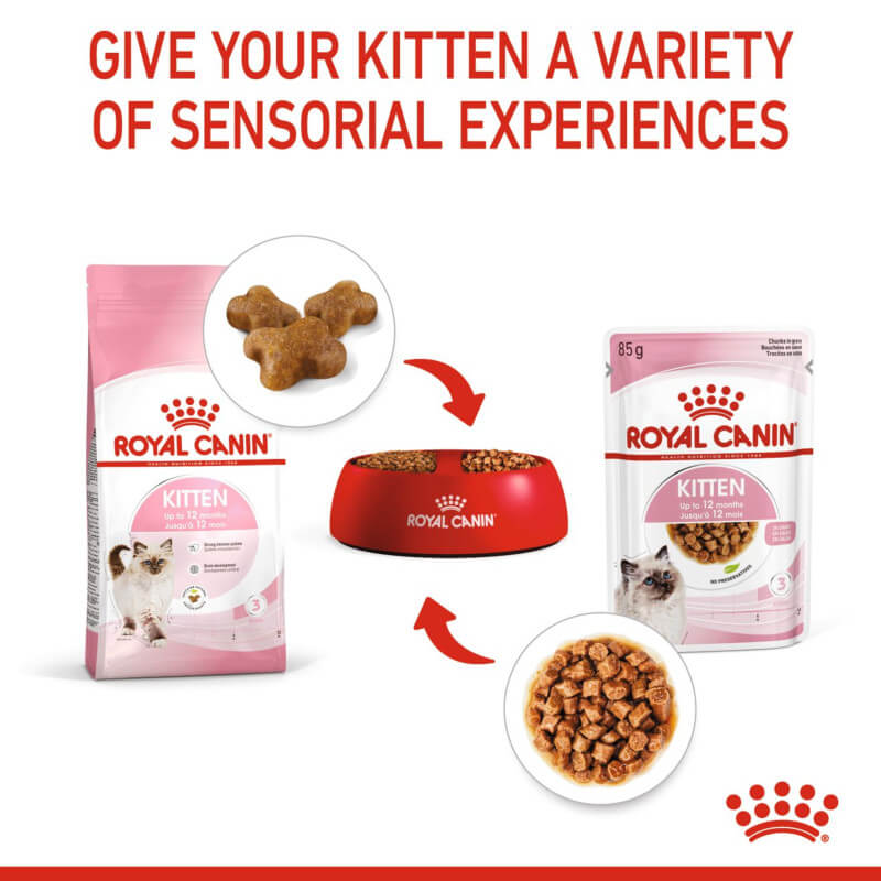 Royal Canin Kitten Pouch In Gravy 12x85g—give your kitten a variety of delicious meals.