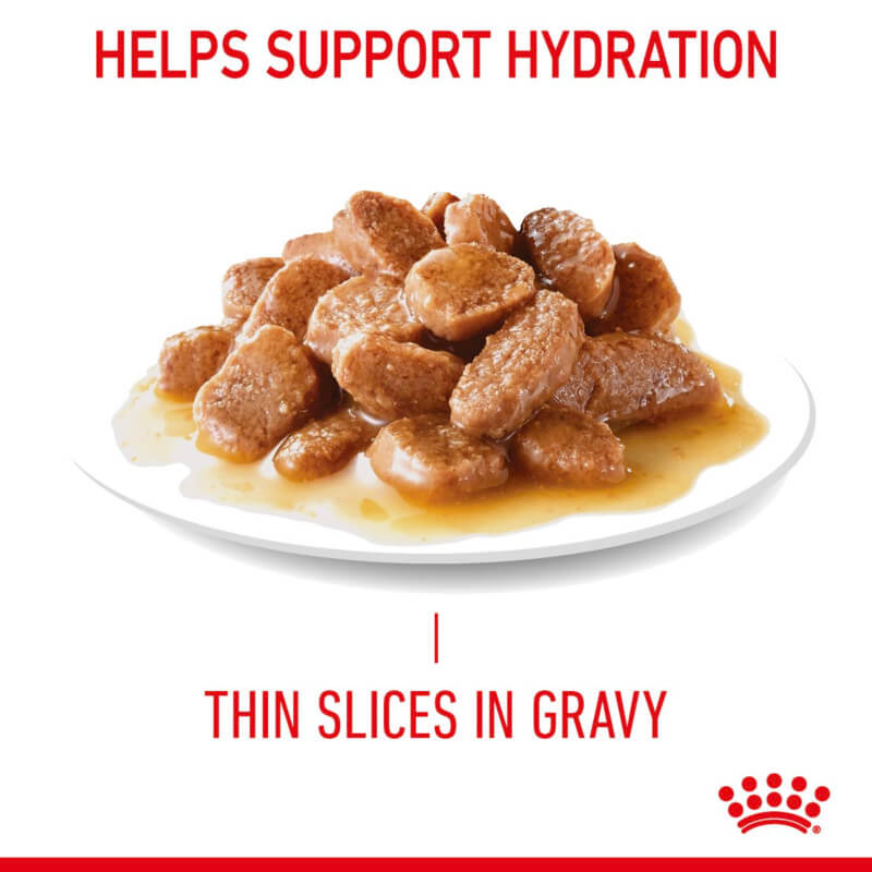 Thin meat slices in gravy with Royal Canin Digest Sensitive Pouch for healthy digestion.