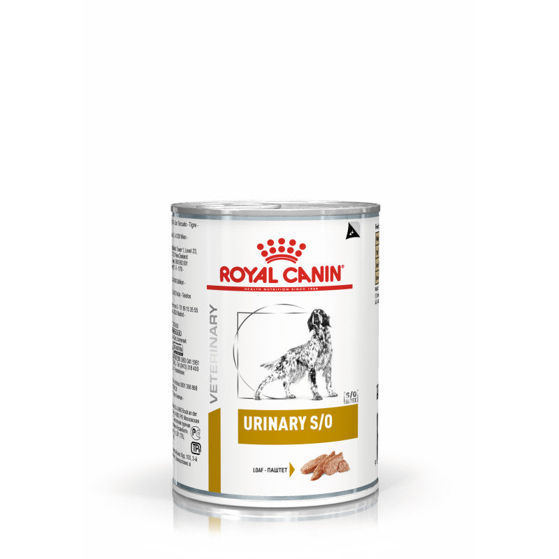 A can of Royal Canin Veterinary Urinary S/O Loaf dog food, 410g, with a dog on the label.