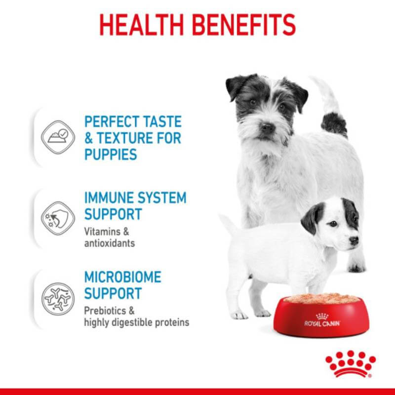 Two puppies with Royal Canin Starter Mousse 195g for pregnant dogs and weaning puppies’ health.