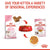 Royal Canin Kitten In Jelly 12x85g