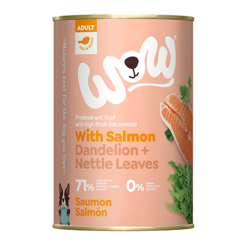 WOW Adult Salmon Tin 400g