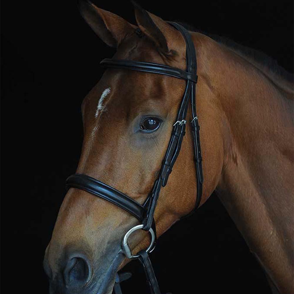 Collegiate Comfort Crown Padded Raised Cavesson Bridle