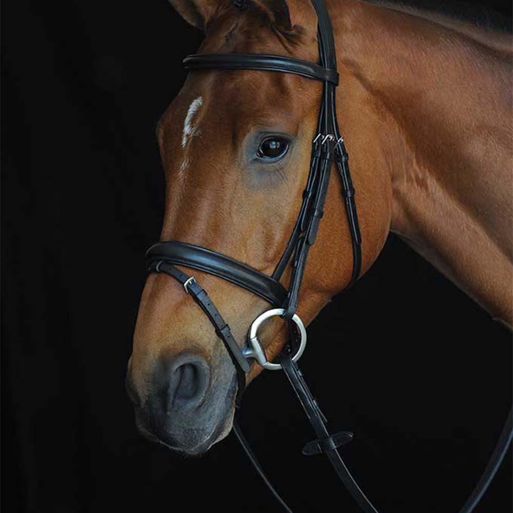 Collegiate Comfort Crown Padded Raised Flash Bridle