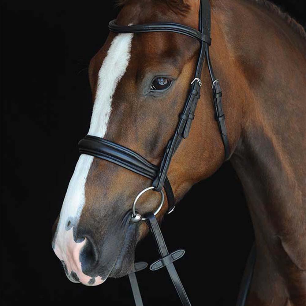Brown horse with a white stripe wearing Collegiate Mono Crown Padded Raised Cavesson Bridle.