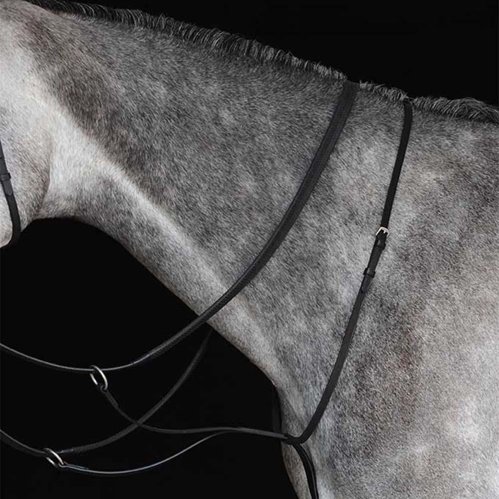 Gray horse wears Collegiate Running Martingale and black reins against a black background.