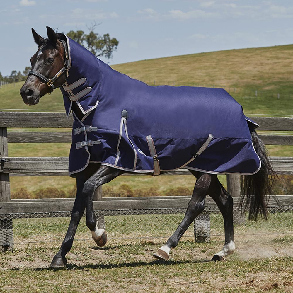 A horse in a blue Weatherbeeta Comfitec Essential Combo Neck rug walks in a grassy field.
