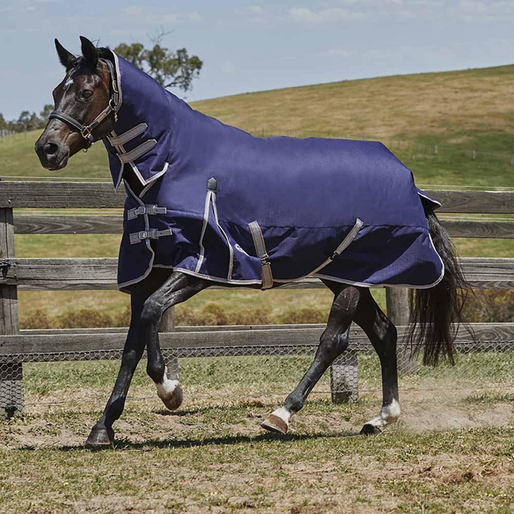 A horse in a Weatherbeeta Comfitec Essential Combo Neck Medium walks in a sunny paddock.