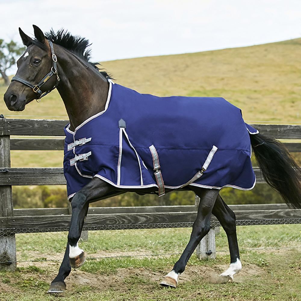 A horse in a Weatherbeeta Comfitec Essential Standard Neck blanket walks by a grassy field.