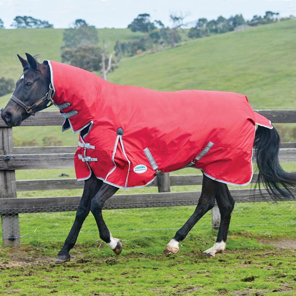 Black horse in a red Weatherbeeta Comfitec Classic Combo Neck Heavy Weight blanket in pasture.