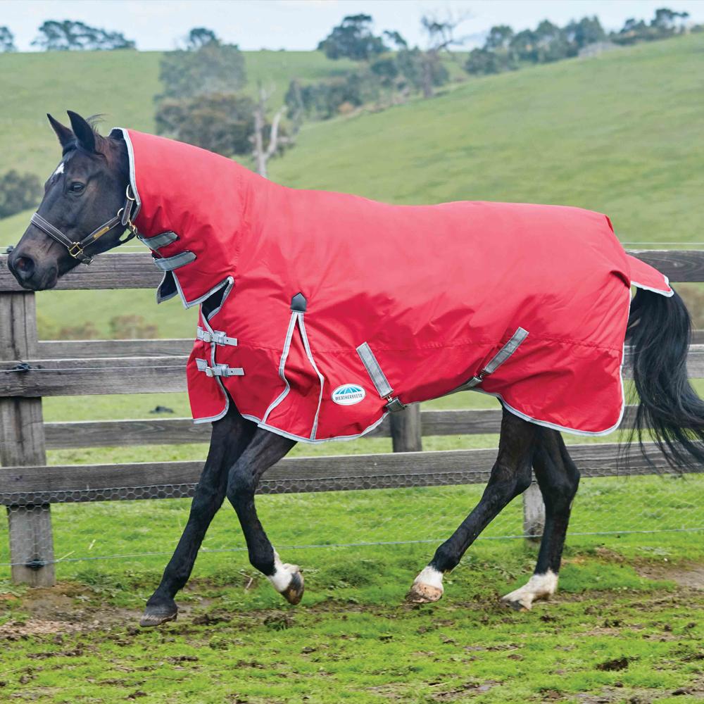 A horse in a Weatherbeeta Comfitec Classic Combo Neck Medium walks by a wooden fence in grass.