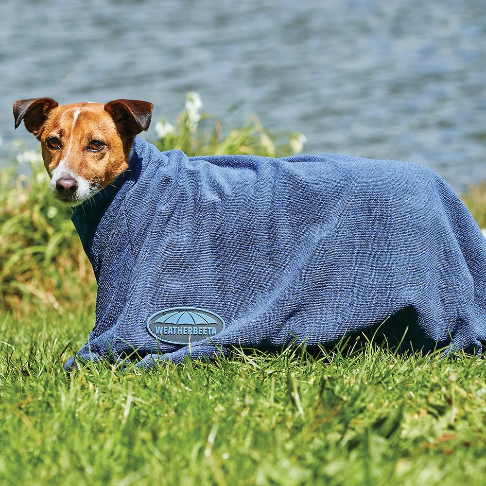 Small dog in blue Weatherbeeta Dry-Dog Bag stands on grass near water.