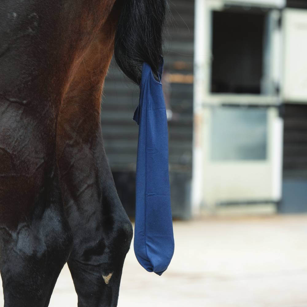 A horse with its tail in a Weatherbeeta Lycra Tail Bag Navy for protection.