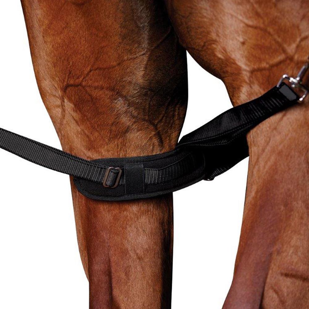 Weatherbeeta Padded Leg Straps Black—ideal for horse rug accessories.