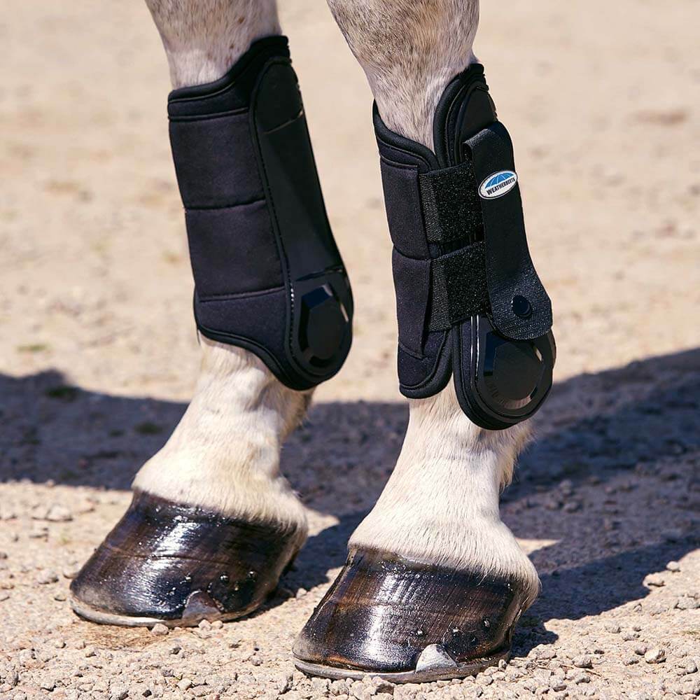 Close-up of horse legs in Weatherbeeta Flexi Shell Cross Country Front Boots on sand.