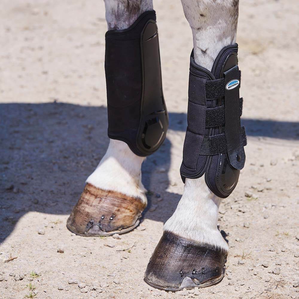 A horse wears Weatherbeeta Flexi Shell Cross Country Hind Boots, standing on sand.