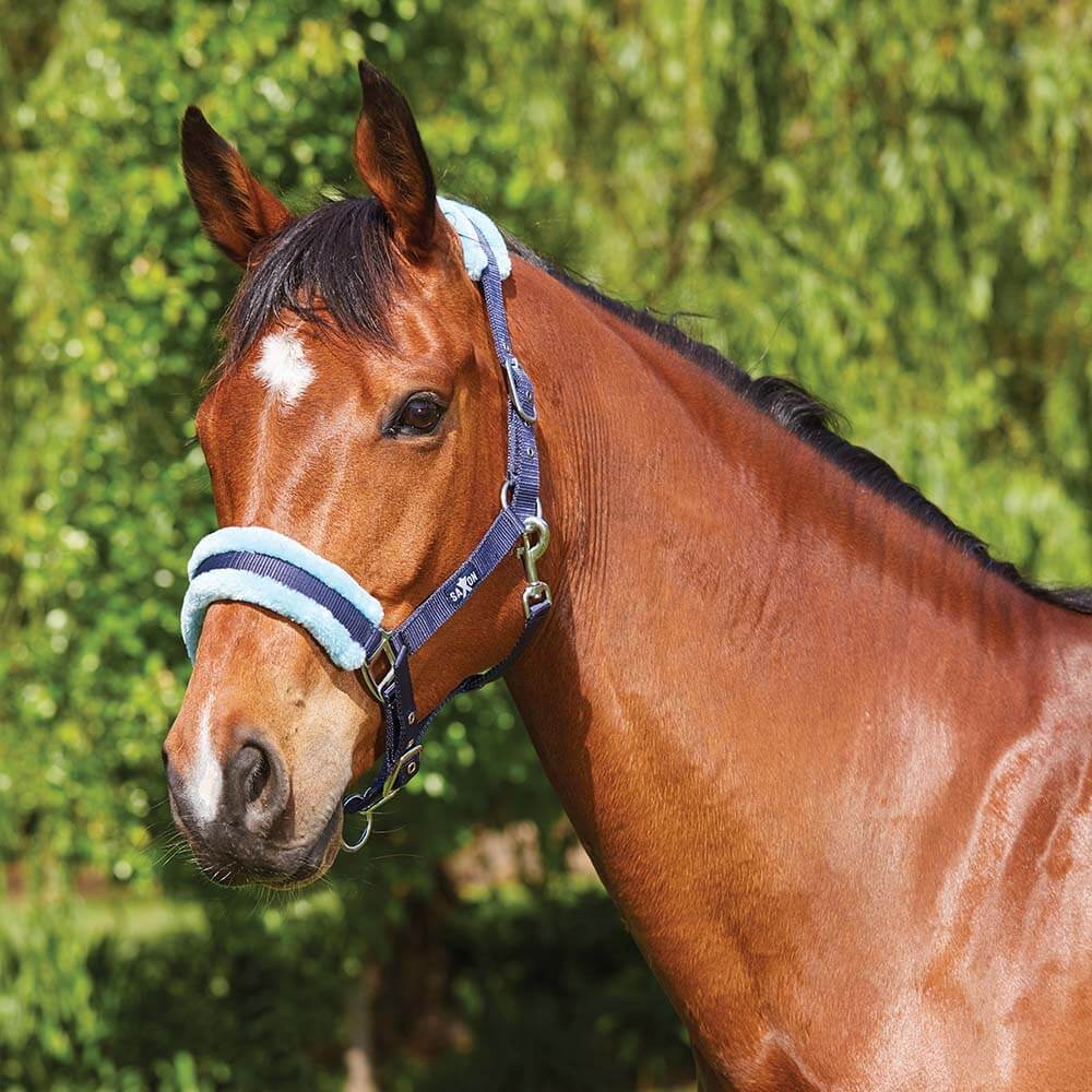 Saxon Element Fleece Headcollar