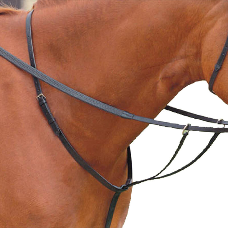 Close-up of horse’s neck with Kincade Running Martingale and bridle against a white background.