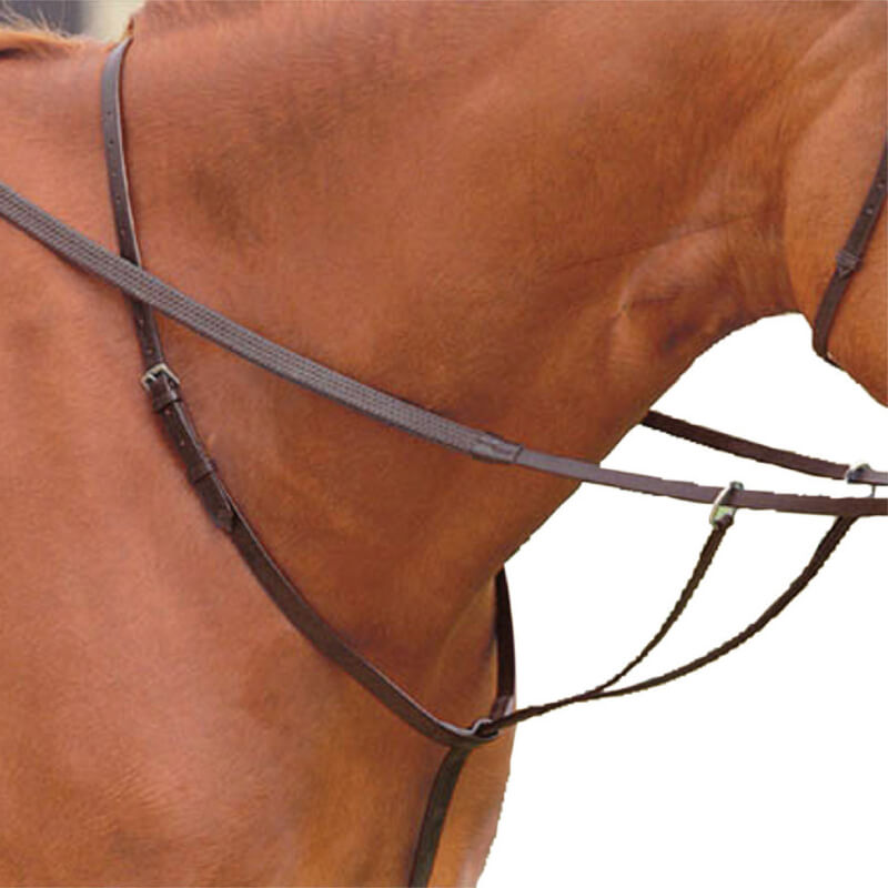 Close-up of a horse wearing Kincade Running Martingale and reins for horse riding.