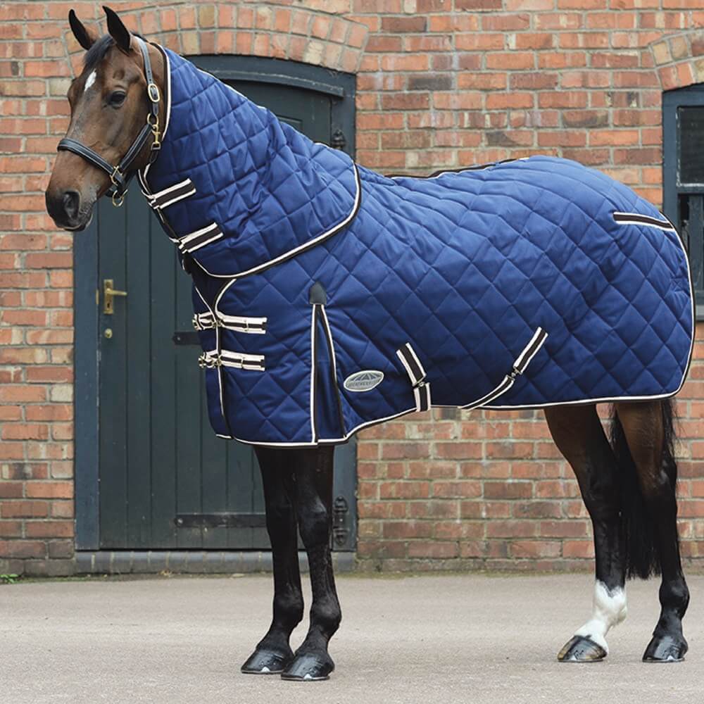 A horse in a blue Weatherbeeta Comfitec 1000D Diamond Quilt 250g rug stands by a brick building.