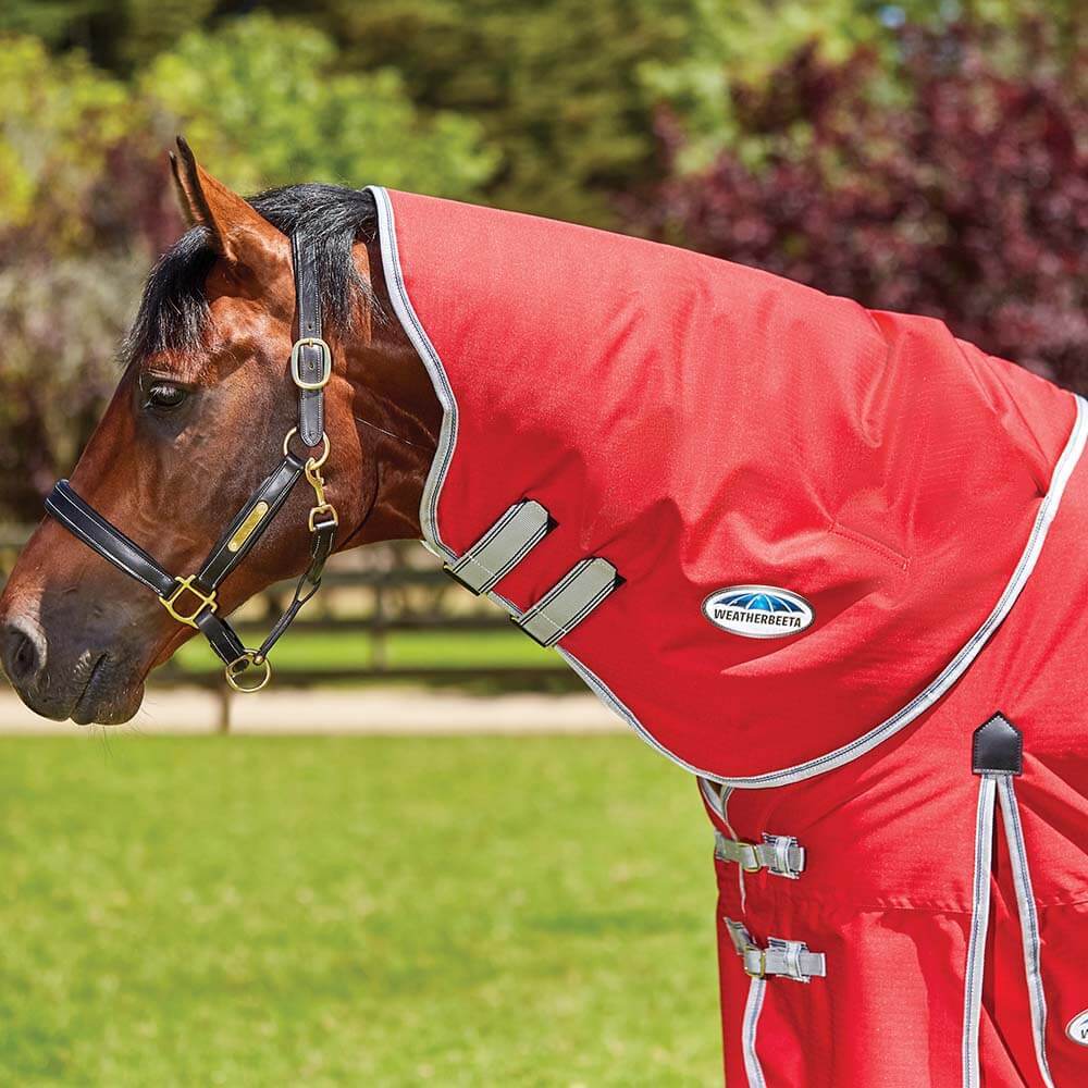 A horse wears a Weatherbeeta Comfitec Classic Neck Rug Medium outdoors on grass.