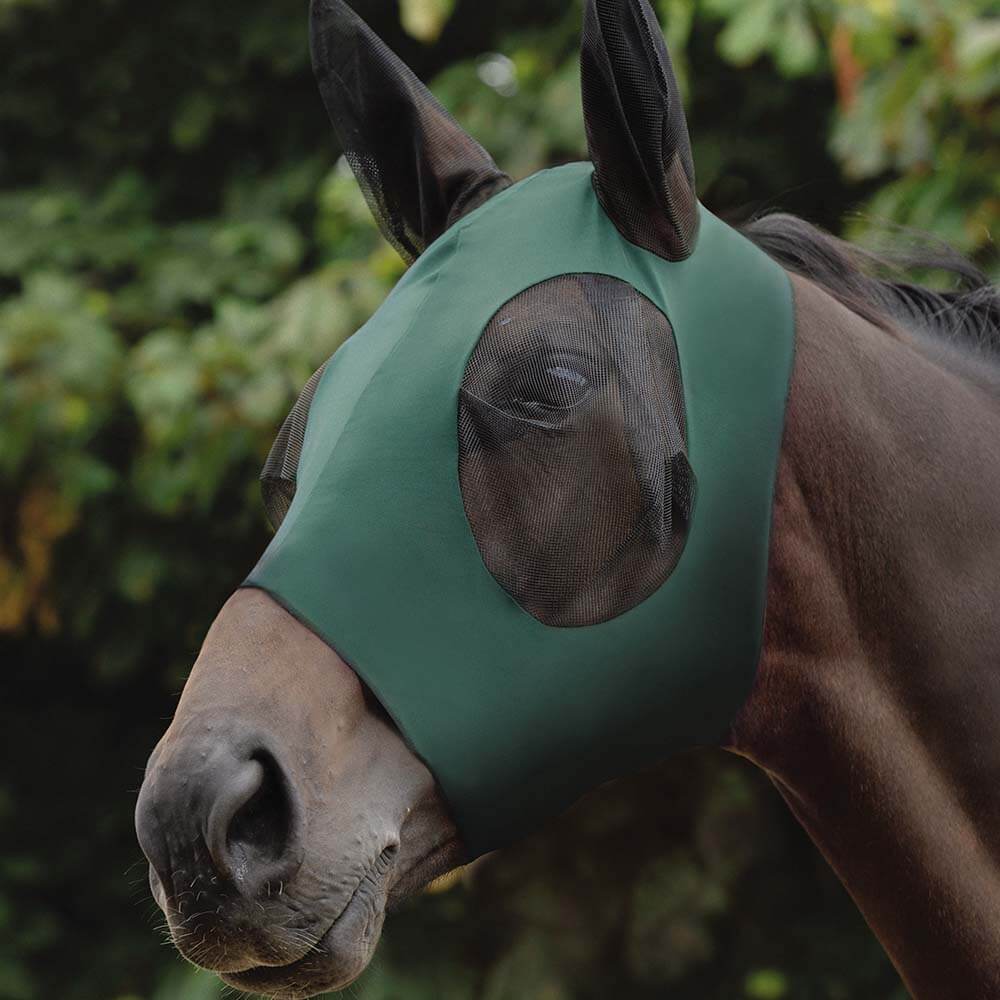 A horse outdoors wears the Weatherbeeta Stretch Bug Eye Saver With Ears in hunter green.