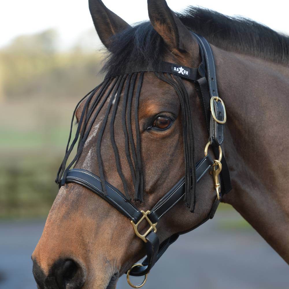 Brown horse wearing a Saxon Fly Fringe Black by Saxon for fly protection over its forehead.