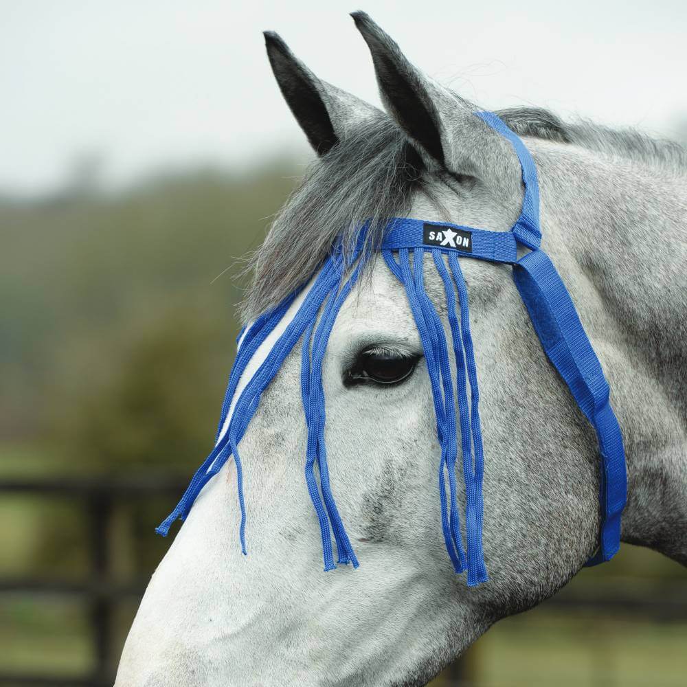 Saxon Fly Fringe Blue