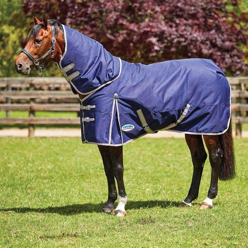 A horse wears a Weatherbeeta Comfitec Essential Detach-A-Neck blanket on grass outdoors.