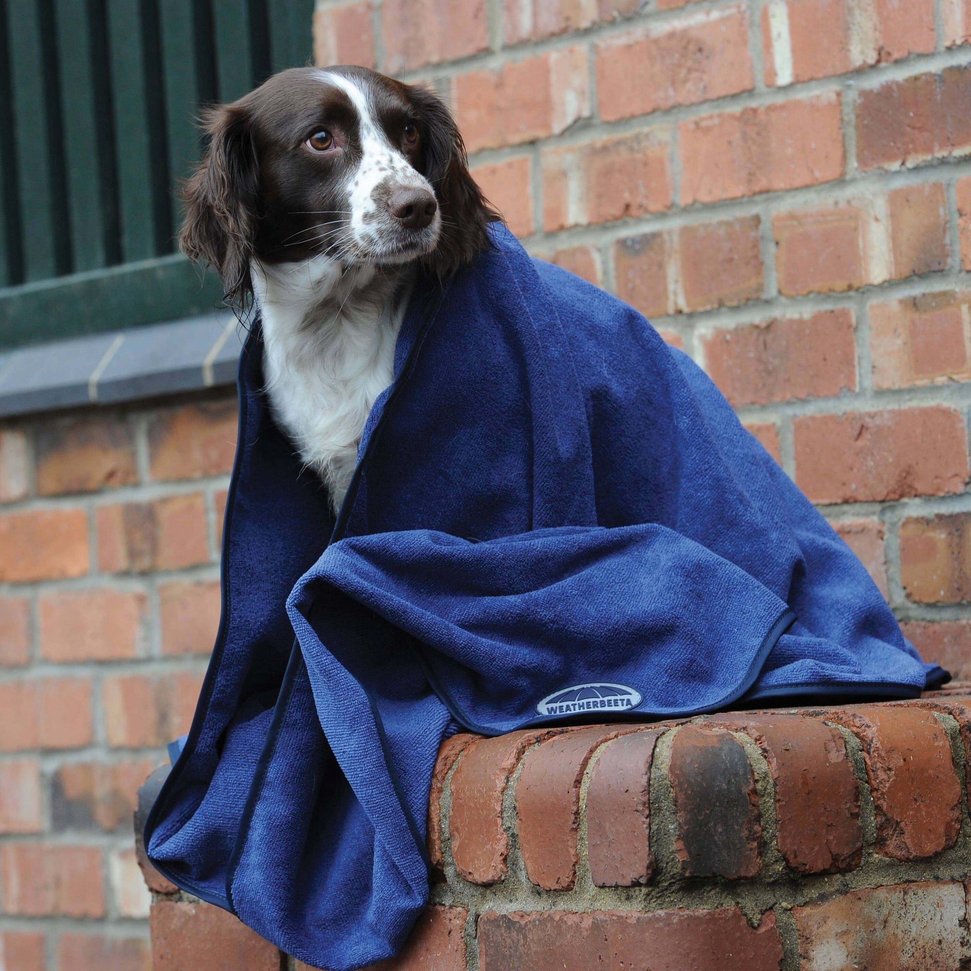 Weatherbeeta Dog Towel Blue