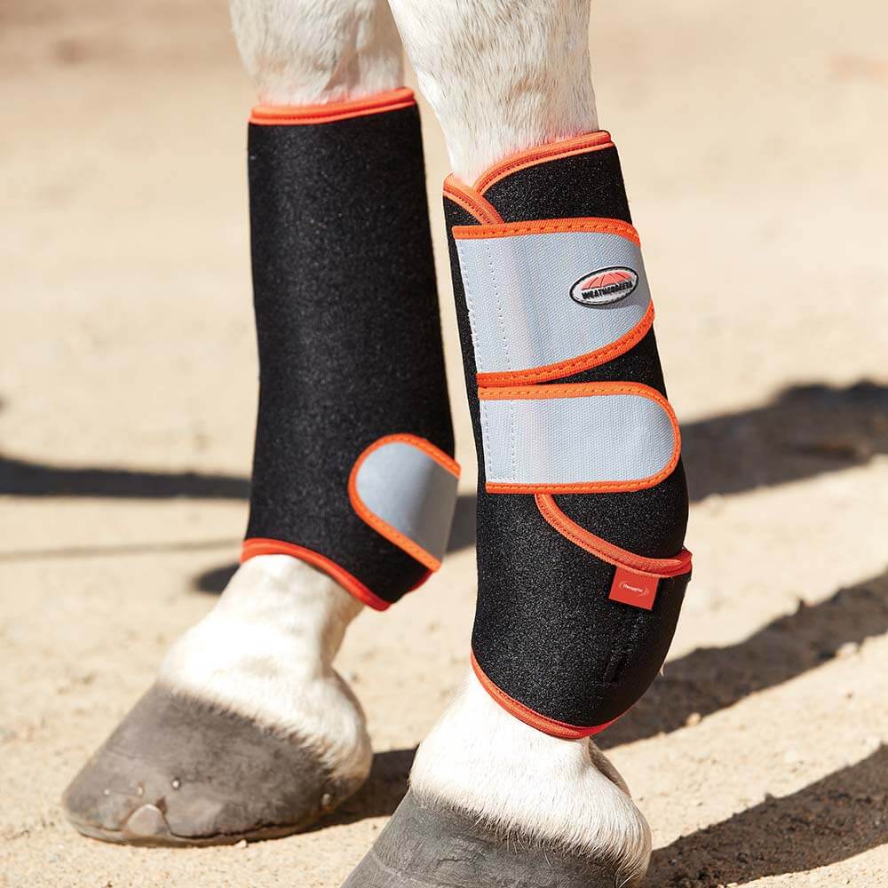 Close-up of horse legs in Weatherbeeta Therapy-Tec Sports Boots for tendon injury prevention.