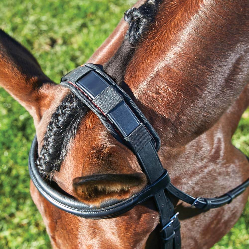 Close-up of a horse wearing a Weatherbeeta Therapy-Tec Poll Pad, easing muscle tension on grass.