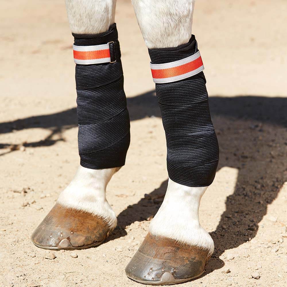 Horse legs in Weatherbeeta Therapy-Tec Support Bandages stand on sandy ground.